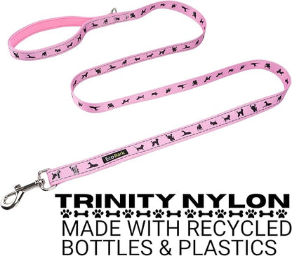 EcoBark Dog Leash - 4 FT / 5 FT / 6 FT Reflective Dog Leash- Eco-Bright Dog Leashes with Padded Handle - Strong Heavy Duty Dog Leash - Nylon Dog Leash for Medium and Large Dogs (Baby Pink Dog Leash)