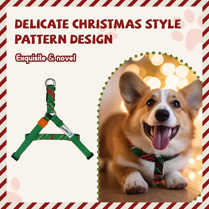 Tri-Color Dog Harness for Medium Dogs Step-in Adjustable Dog Harness