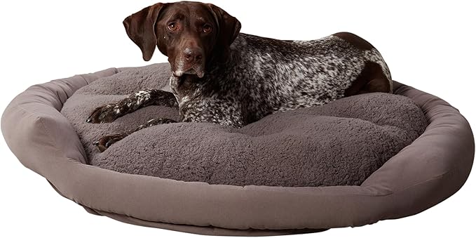 Maddie Donut Dog Bed with Removable Center Pillow (42" x 42")