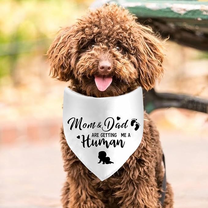 Mom&Dad are Getting Me a Human Dog Bandanas, Pregnancy Announcement Dog Bandanas, Pregnancy Reveal Ideas, Gender Reveal Photo Prop Pet Scarf Accessories (White)