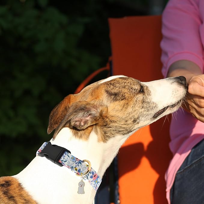 Flower Patterns Dog Collar with Accessories