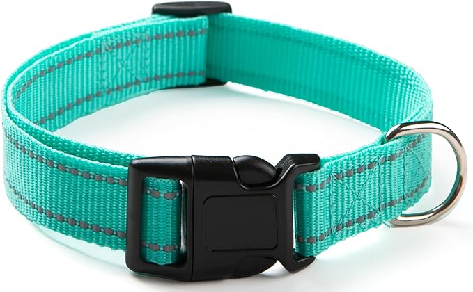 Reflective Dog Collar for Small