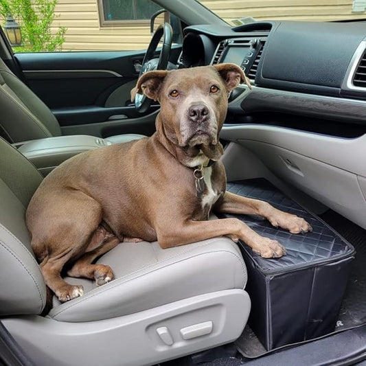 Front Seat Dog Extender and Car Storage