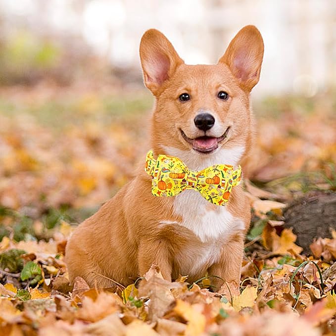 Lionheart glory Fall Dog Collar with Bowtie Halloween Pumpkin Dog Collars Bow Tie Heavy Soft Adjustable Collar for Small Dogs Thanksgiving Day Dog Bow Collar Pet Gift