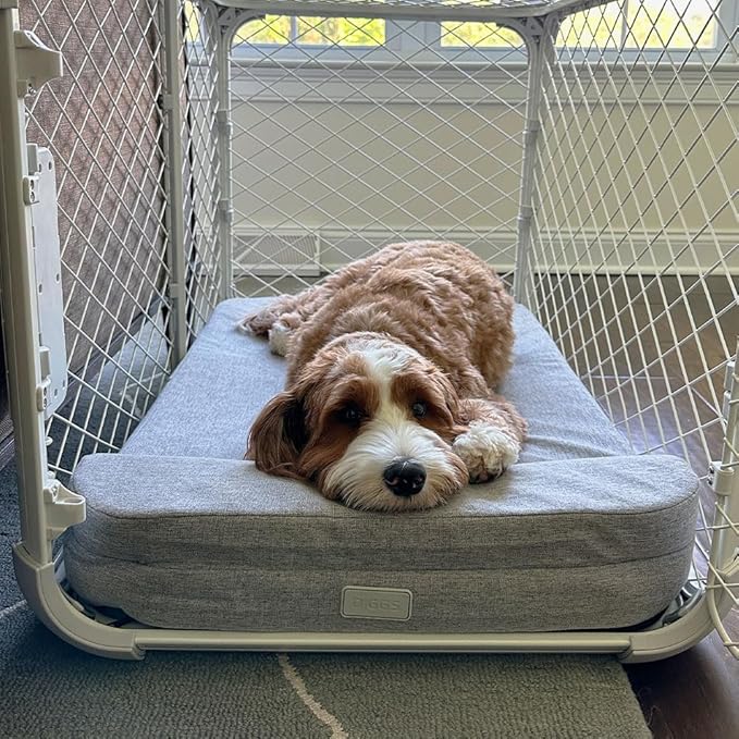 Diggs Bolstr Dog Bed I Water Resistant Pet