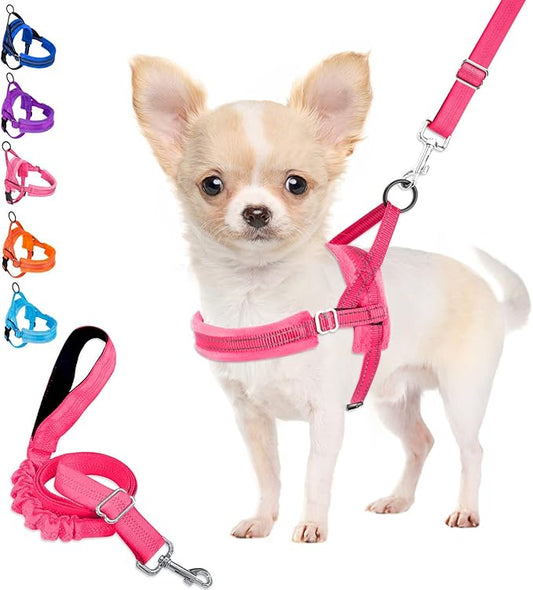 Lukovee Dog Harness and Leash Set, Soft Padded Small Dog Harness, Neck & Chest Adjustable Reflective Vest Puppy Harness with 4ft Lightweight Anti-Twist Dog Leash for Small Dogs (Pink, Large)