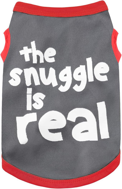 Elevate Your Pet's Seasonal Style with Playful Panache: Series2 Medium