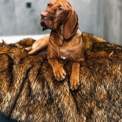 Waterproof Throw Blanket, Pet Bed Blanket for Dogs and Cats, Plush Fur Throw for Sleeping, Whelping, and Comfort, Furniture Protection, Stain Resistant Surface, Machine Washable (Brown, 60x80")