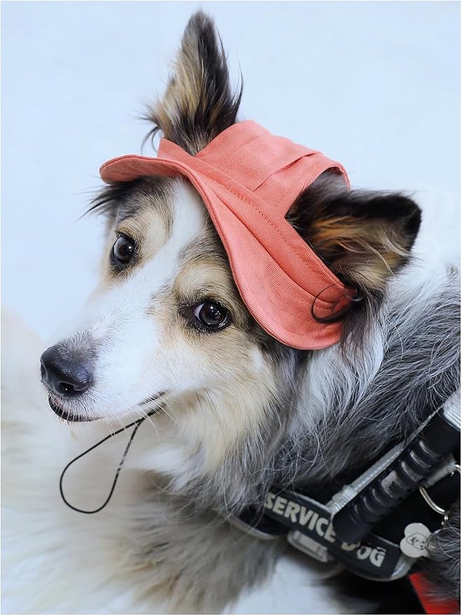 Generic Solid Dog Hat with Ear Hole Round