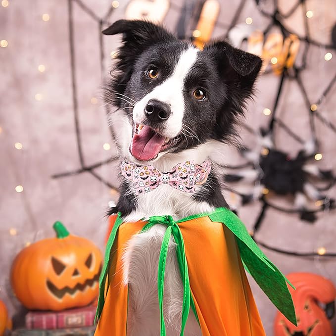 ARING PET Halloween Dog Collar-Cute Pink Pumpkin Dog Collar with Bow