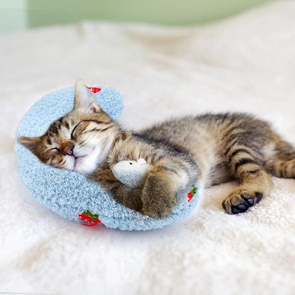 Mity rain 2PCS Dog Pillow