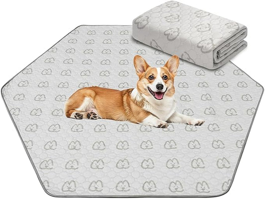 FXW Washable Pee Pads for Dogs 62" x 55", Specifically 24inch 6