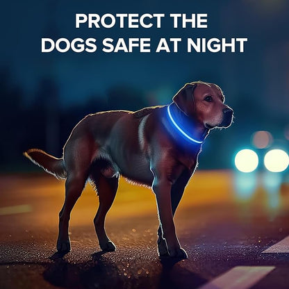 Led Dog Collar for Night Walking