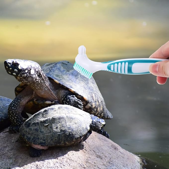 Hamster Mini Brush Brace Braces False Toothbrush Clean Cleaner Rubber Handle Double-Sided Turtle Shell Cleaning Brush Turtle Tortoise Shell Mud Clean Brush Water Turtle