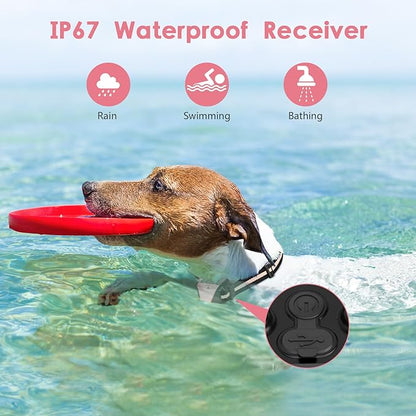 Dog Shock Collar IP67 Waterproof 3 Training