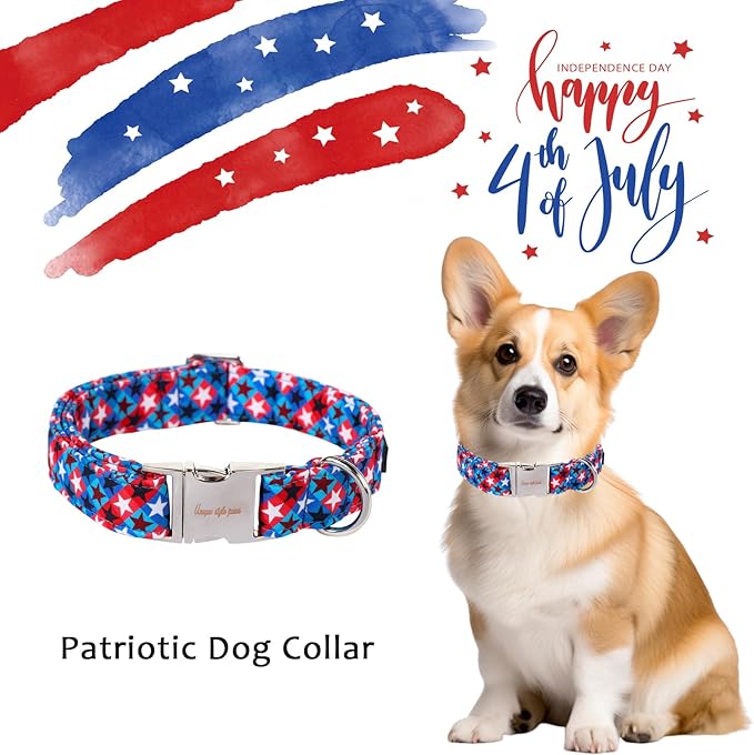 Patriotic Dog Collar 4th of