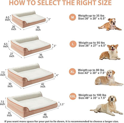 Orthopedic Dog Beds for Large Dogs