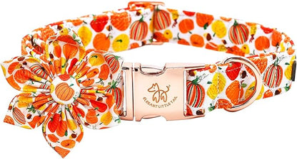 Elegant little tail Dog Collar with Flower