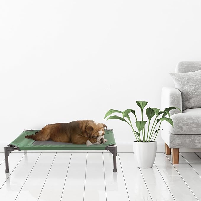 Elevated Dog Bed ? 30x24 Portable Bed 50lbs by