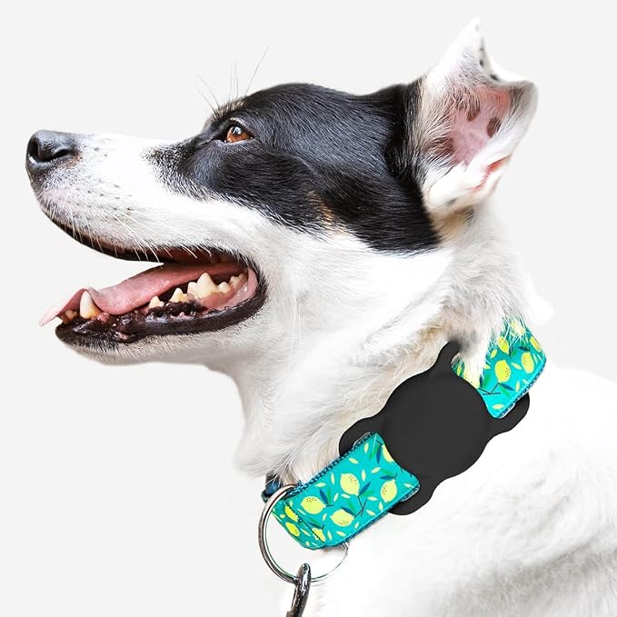 Air Tags-2 Pack Airtag Dog Collar Holder SWINCHO 1-3cm Width