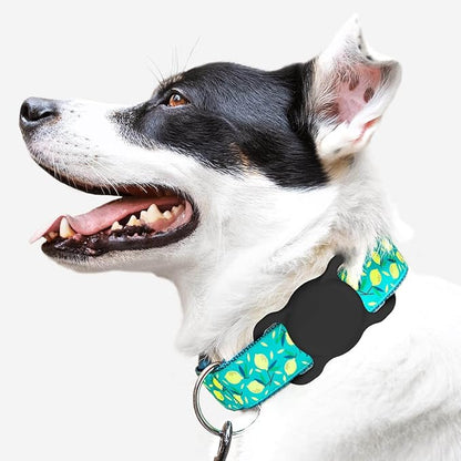 Air Tags-2 Pack Airtag Dog Collar Holder SWINCHO 1-3cm Width Collar(2xBlack)