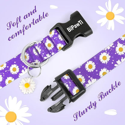BiPawTi Floral Dog Collars for Large Dog