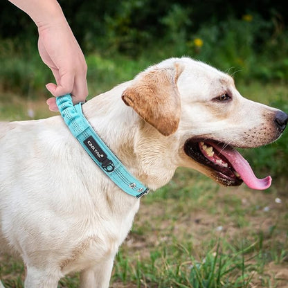 KOOLTAIL Tactical Dog Collar with Handle-Heavy Duty Dog Collar for Military Training