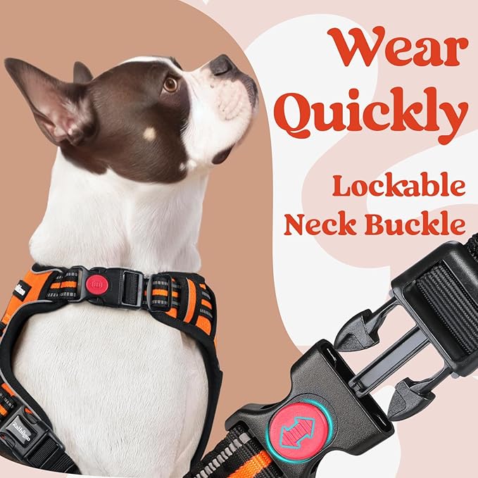 rabbitgoo Dog Harness Small Sized, No Pull Pet Harness with 3 Buckles, Adjustable Soft Padded Dog Vest with Instant Control Handle, Easy Walking Reflective Pet Vest for Small Dogs, Orange, S