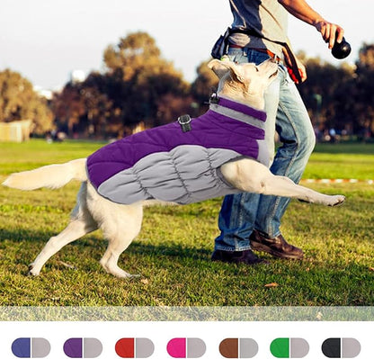 Dog Coat