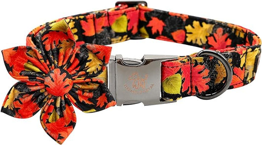 Elegant little tail Dog Collar with Flower