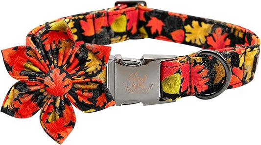 Elegant little tail Dog Collar with Flower