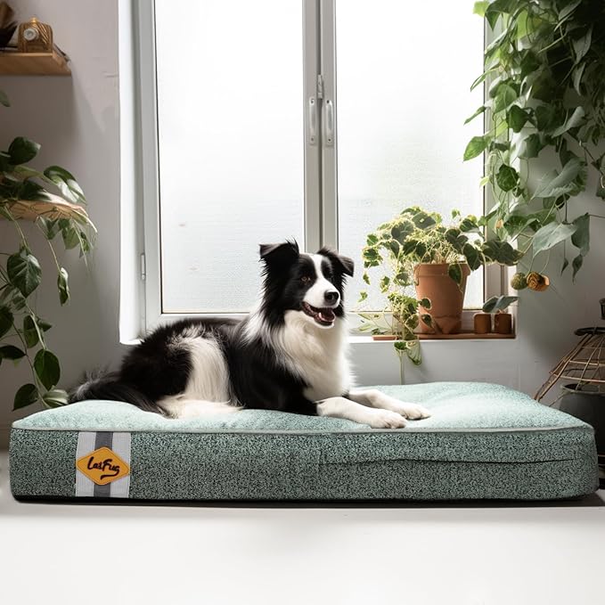 Laifug Memory Foam Dog Bed