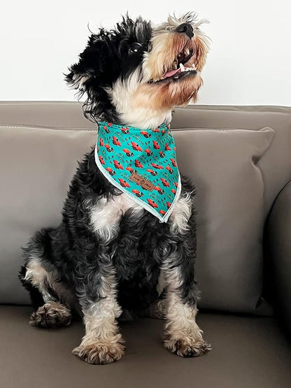 Lionet Paws Thanksgiving Dog Bandana Washable Cotton Handkerchief