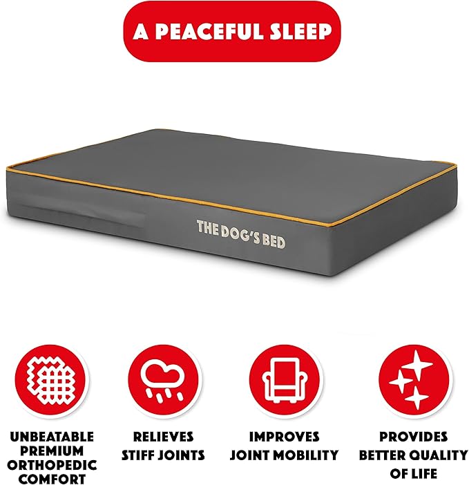 The Dog’s Bed Orthopedic Memory Foam Dog Bed 34x22, Pain