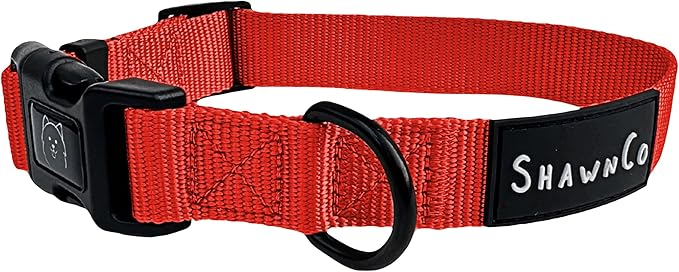 ShawnCo Dream Walk Dog Collar- Premium