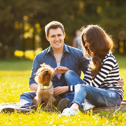 Dog Chain Cuban Collars 20in)