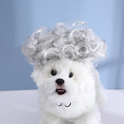 Funny Dog Cat Cosplay Wig, Headwear Apparel Toy, Pet Costumes, Cat Dress up for Halloween, Christmas, Parties, Festivals, Dog Wigs for Small Medium and Large Dogs (Explosive Grey)