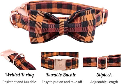 Elegant little tail Dog Collar with Bow