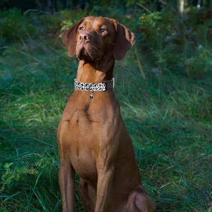 Flower Patterns Dog Collar with Accessories
