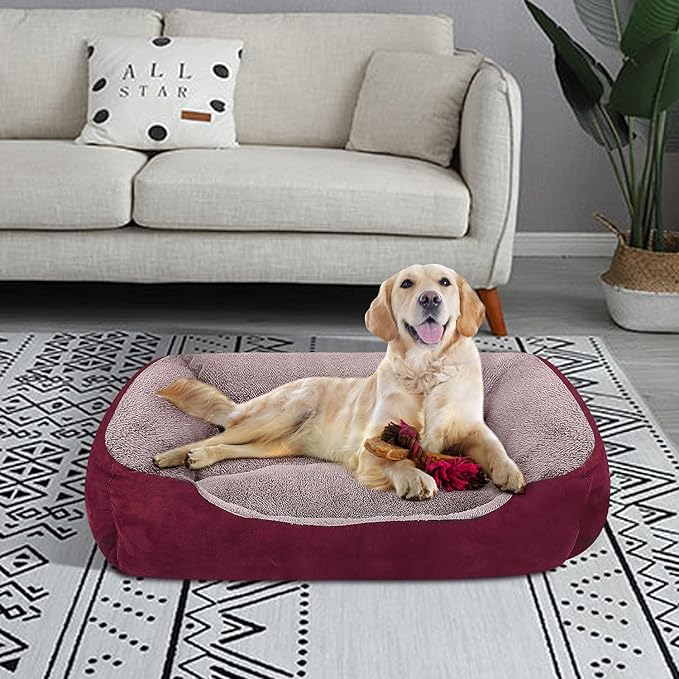 PUPPBUDD Dog Beds for Medium Dogs