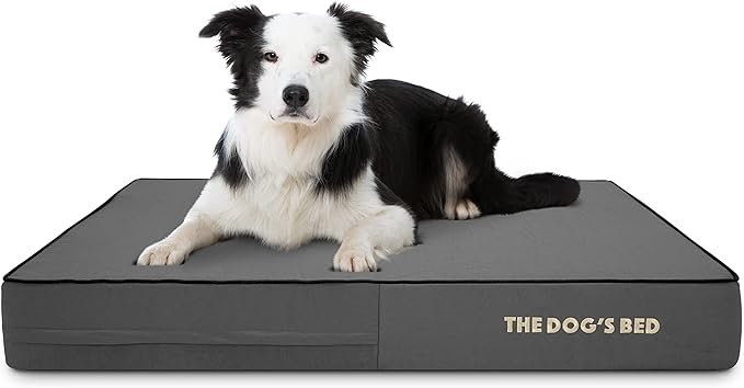 The Dog’s Bed Orthopedic Memory Foam Dog Bed 40x25, Pain