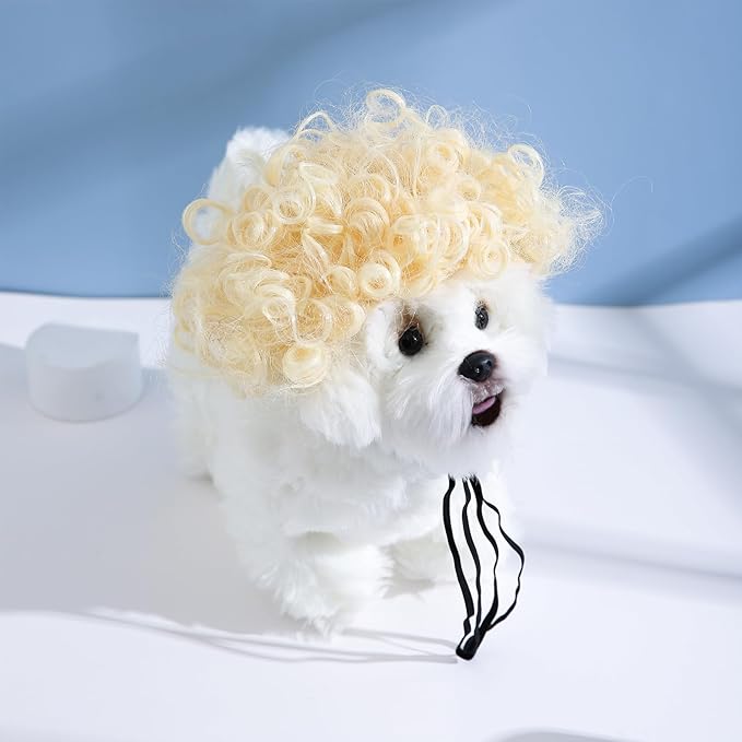 Funny Dog Cat Cosplay Wig, Headwear Apparel, Pet Costumes, Cat Dress up for Halloween, Christmas, Parties, Festivals, Dog Wigs for Small Medium and Large Dogs (Blonde Short Curly Hair)