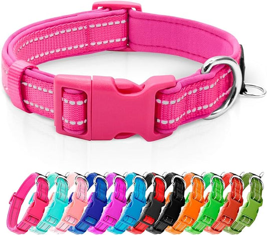 azuza Reflective Dog Collar