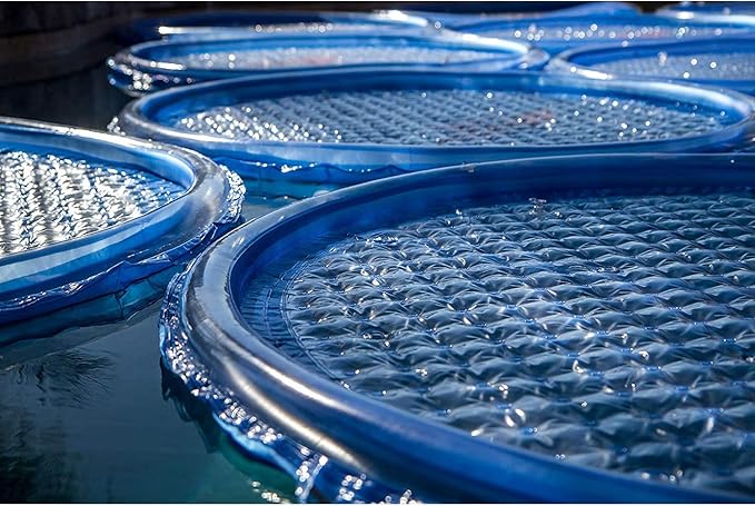 Solar Sun Rings UV Resistant Above Ground Inground Swimming Pool Hot Tub Spa Heating Accessory Circular Heater Solar Cover (9 Pack)