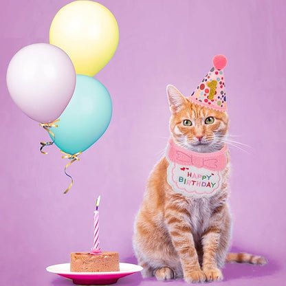 ADOGGYGO Cat Birthday Party Supplies