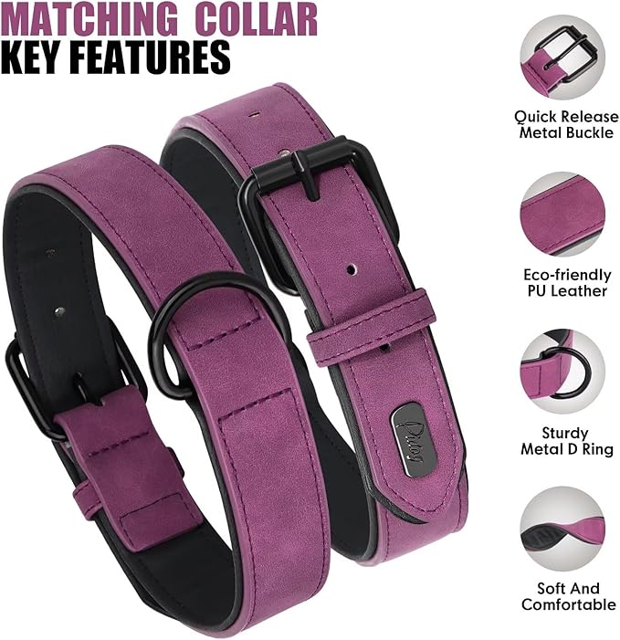 Didog Soft Padded Leather Dog Collar and Leash Set 4FT Leather