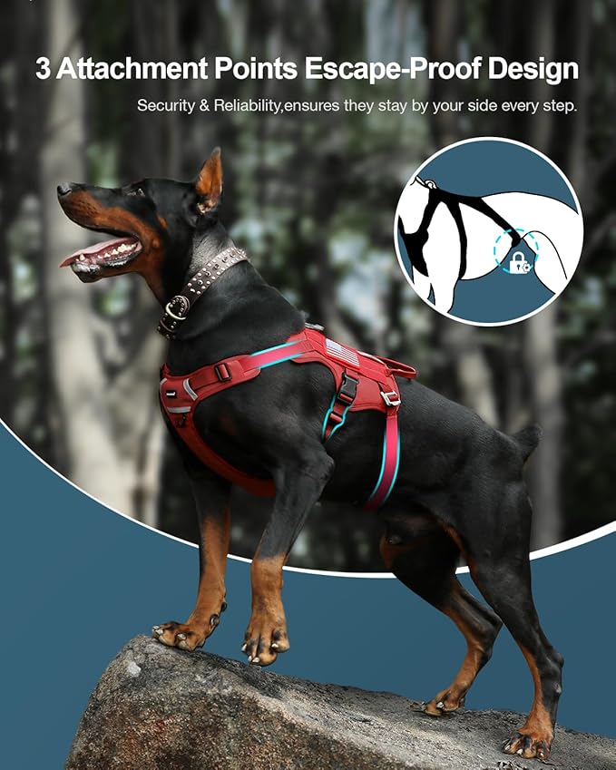 FAYOGOO Service Dog Harness for Medium Dog - Mesh Breathable Dog Harness Escape Proof with Handle - No Pull Military Service Dog Vest with Removable Patches for Walking,Training,Hiking