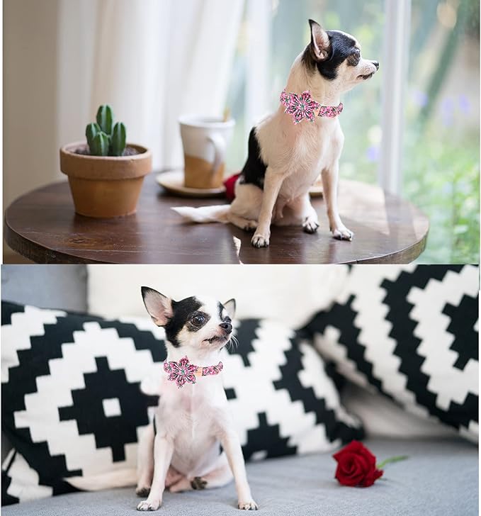 Unique style paws Dog Collar with Flower Tie