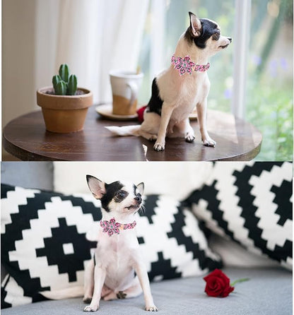 Unique style paws Dog Collar with Flower Tie