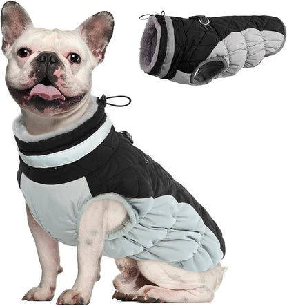 Dog Winter Jacket Cozy Reflective Waterproof Windproof Warm Pet Garment